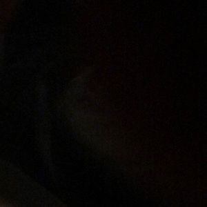 Meet your Posher, Jake